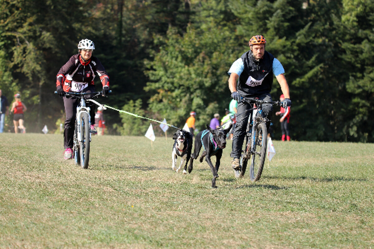 Bikejoring: cos’è, come si pratica e quali sono i benefici