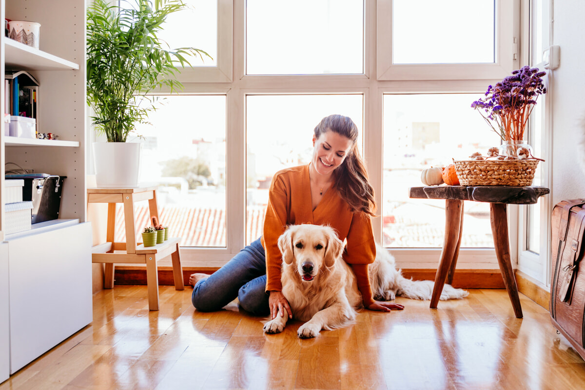 Il tuo cane scivola sul pavimento? Le cause e le soluzioni per aiutarlo