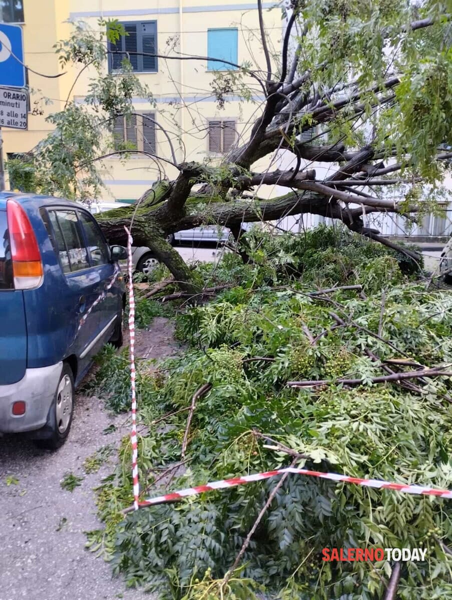 Nuova allerta meteo: temporali e forti venti in Campania
