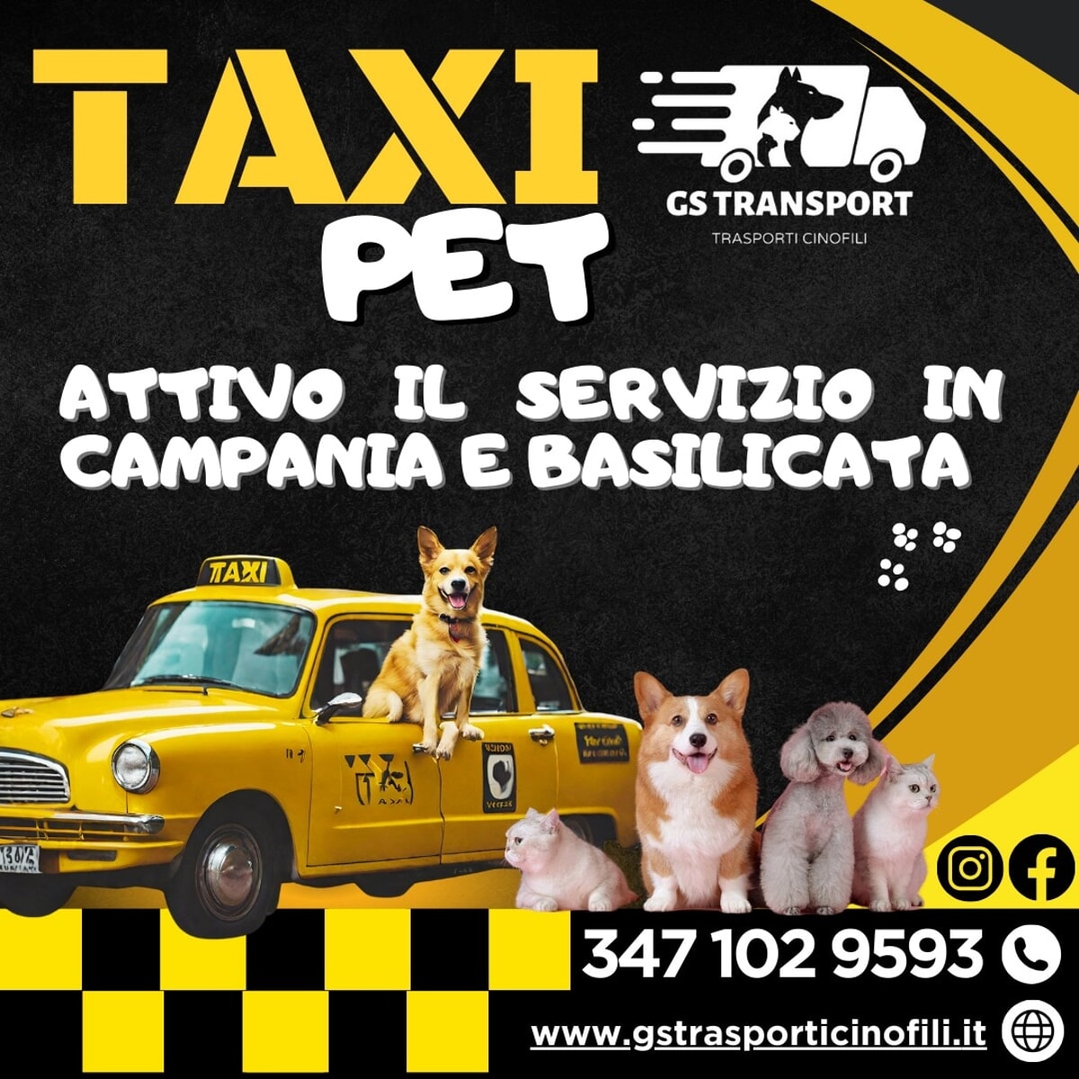 Curiosità, il taxi pet arriva in Campania: buone notizie per i proprietari di animali