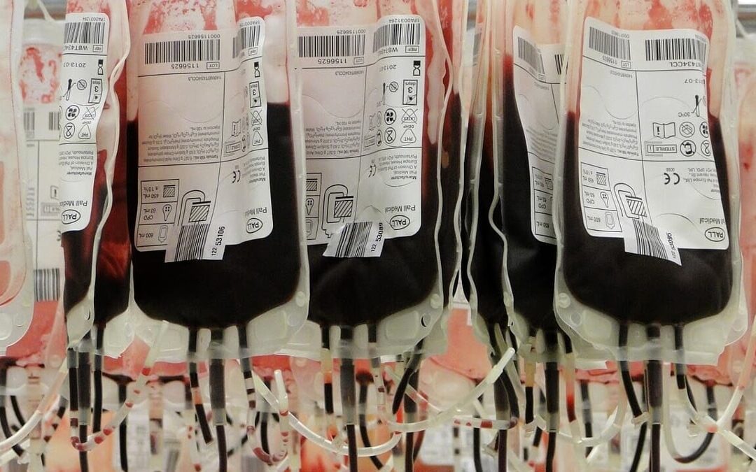 Sacche di sangue sparite al Ruggi, Bicchielli (NM) presenta interrogazione al Ministro Schillaci