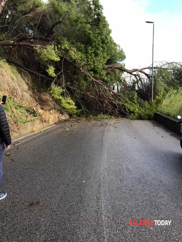 Frana a Gioi Cilento: chiusa la Strada Provinciale 47