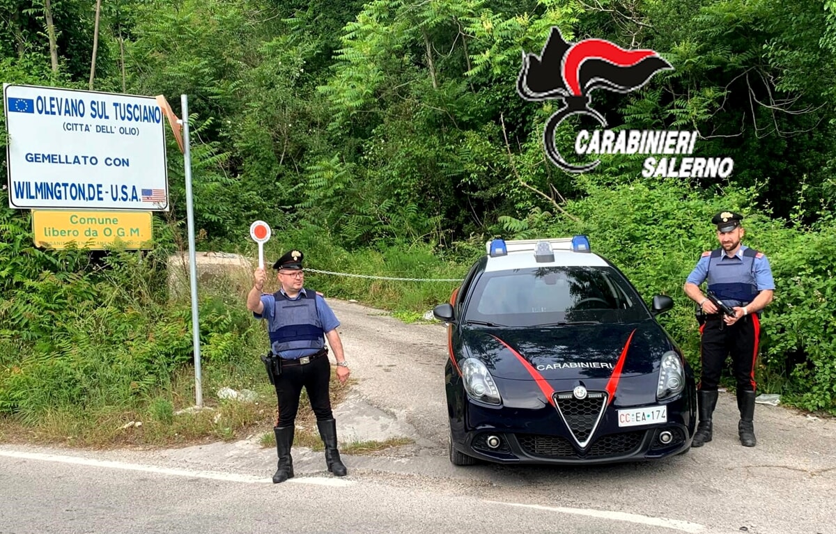 Tenta di aggredire madre e sorella, poi prova a colpire con un palo i carabinieri: arrestato