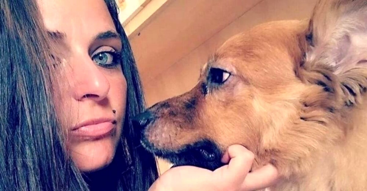 “Dona con amore e adotta con il cuore”: l’evento per i cani randagi nel nome di Anna Borsa