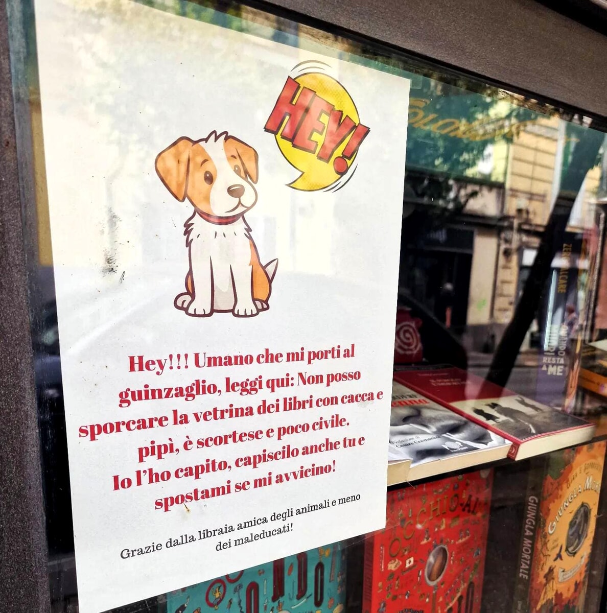 Escrementi di cane ogni mattina sulla vetrina della libreria, la titolare: “Sono stanca”