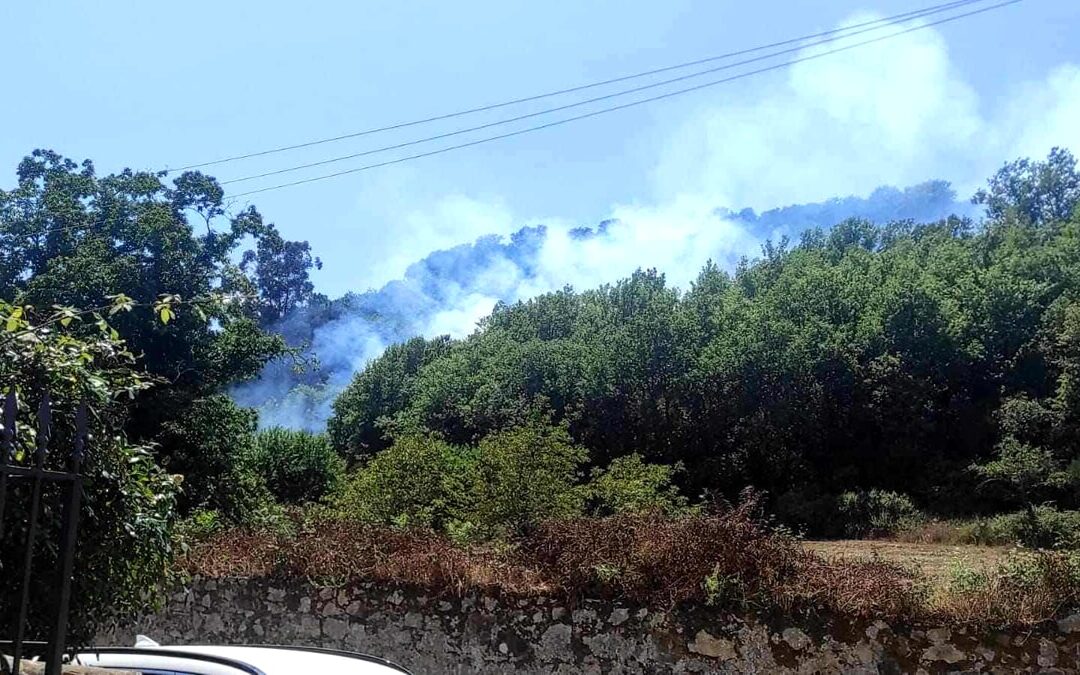 Incendio a Camerota: le fiamme rischiano di lambire alcune abitazioni