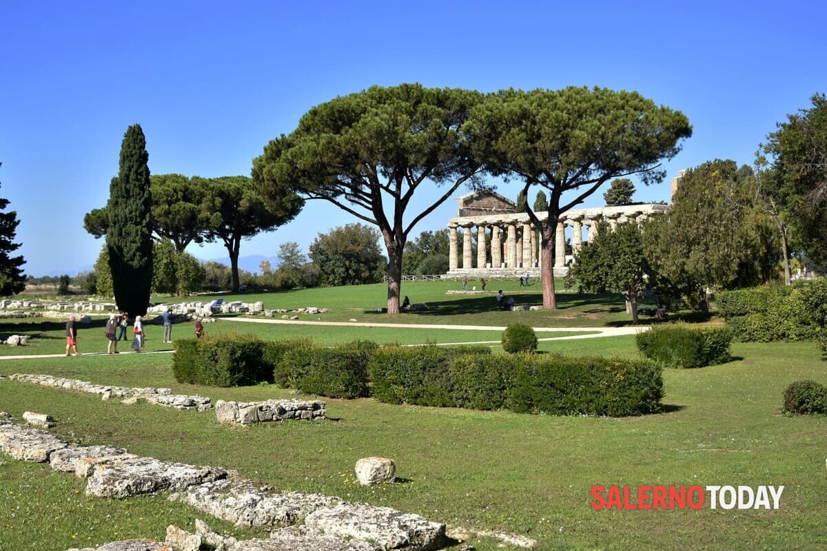 Si rinnova l’appuntamento con “Domenica al Museo”: ecco tutti i siti visitabili gratis in provincia di Salerno