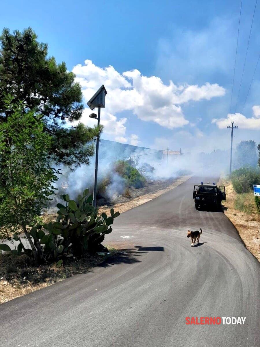 Vegetazione in fiamme anche ad Omignano: il Cilento continua a bruciare